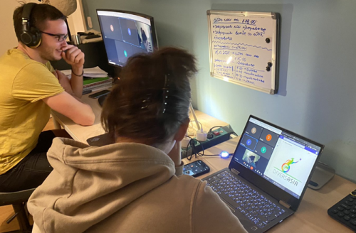 Online workshop